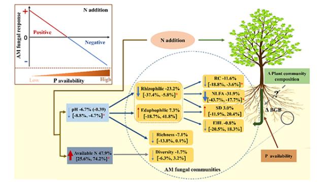 20200930160142735576908931.jpg 1-wenzhong.jpg