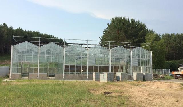 20201231160939569847700671.jpg 4-wen.jpg