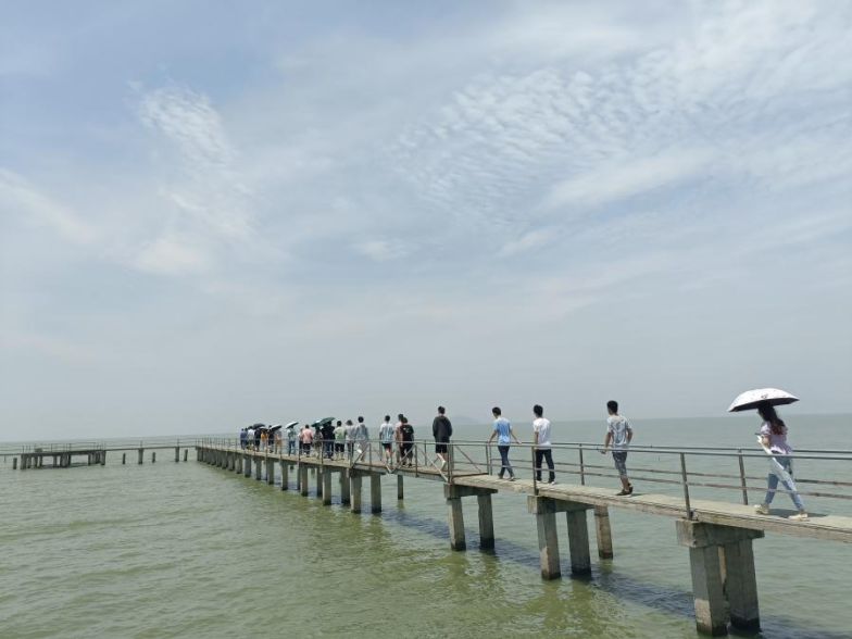 c1558367b03c45d8927aa41d122dc417.png c1558367b03c45d8927aa41d122dc417.png