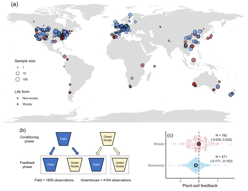 1a2d64439cab47398993f407861f6d69.png 2.png